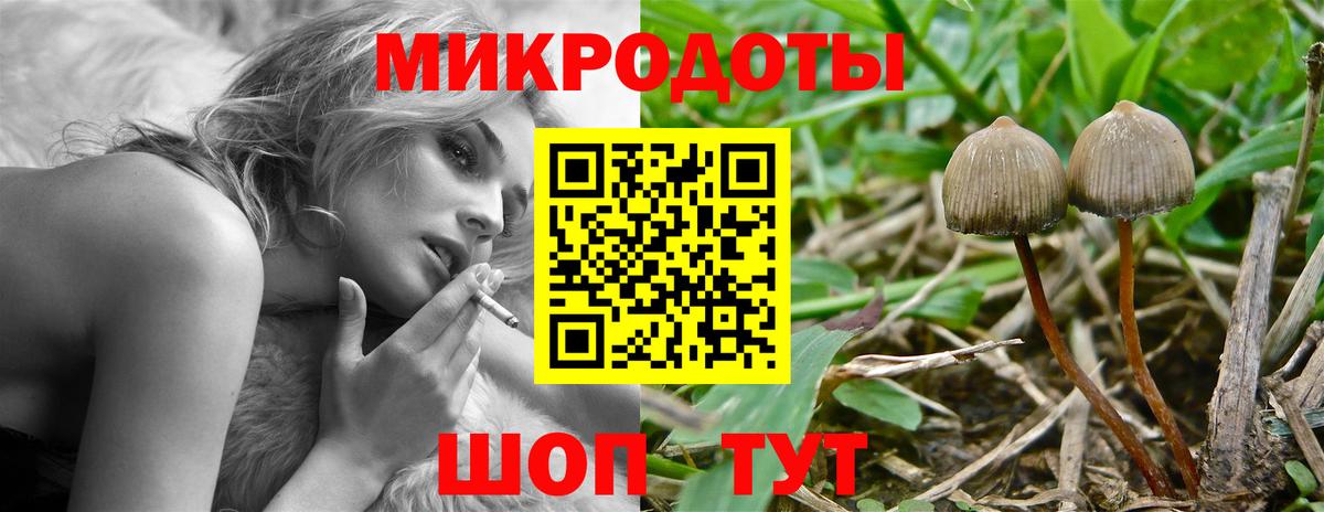 Псилоцибиновые грибы мицелий Рославль